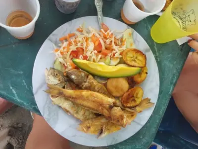 Русская рыбалка